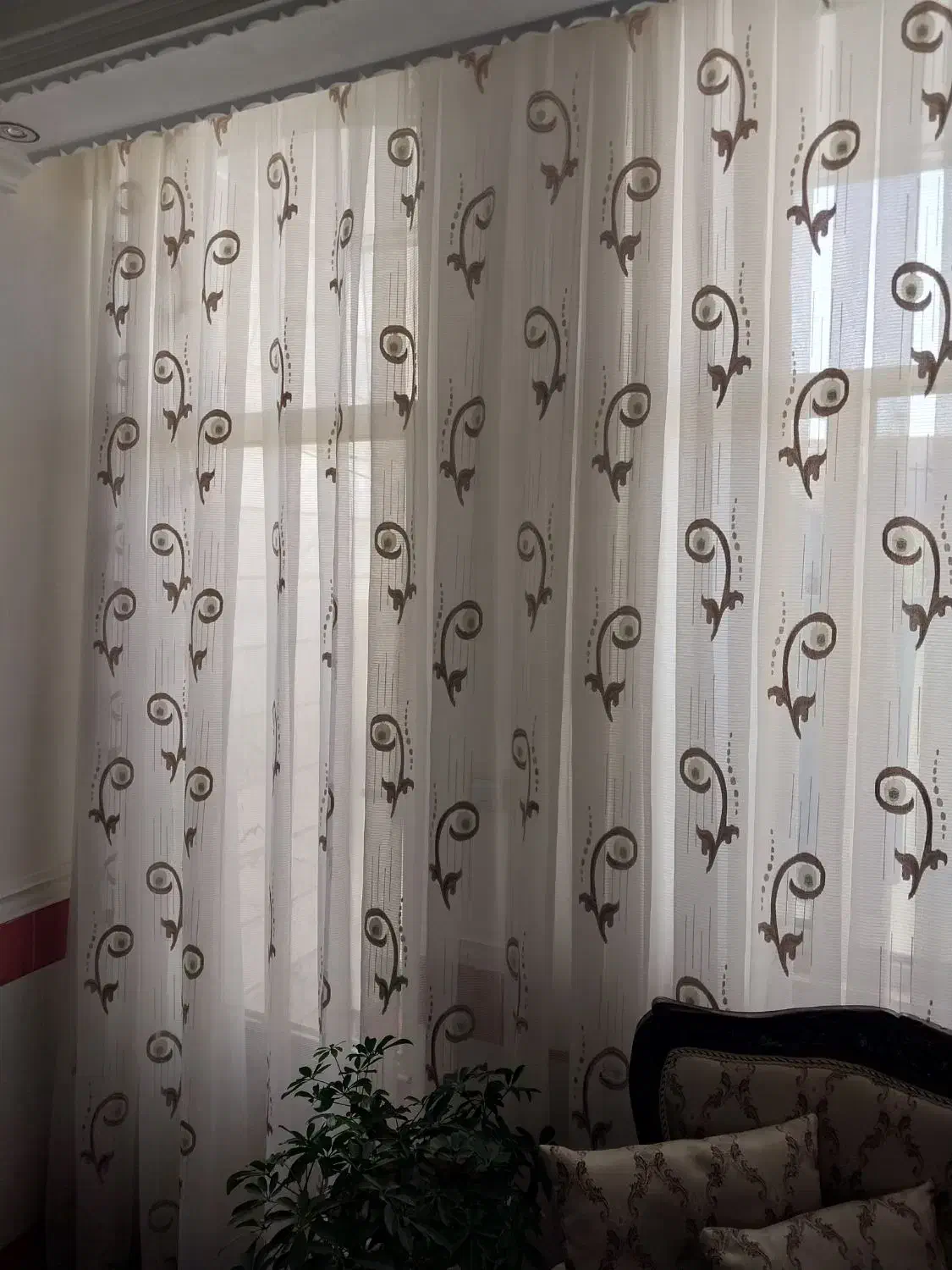 پرده پذیرایی|پرده، رانر، رومیزی|گلپایگان, |دیوار