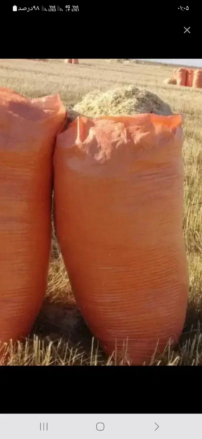 کاه|لوازم جانبی حیوانات|رزن, |دیوار