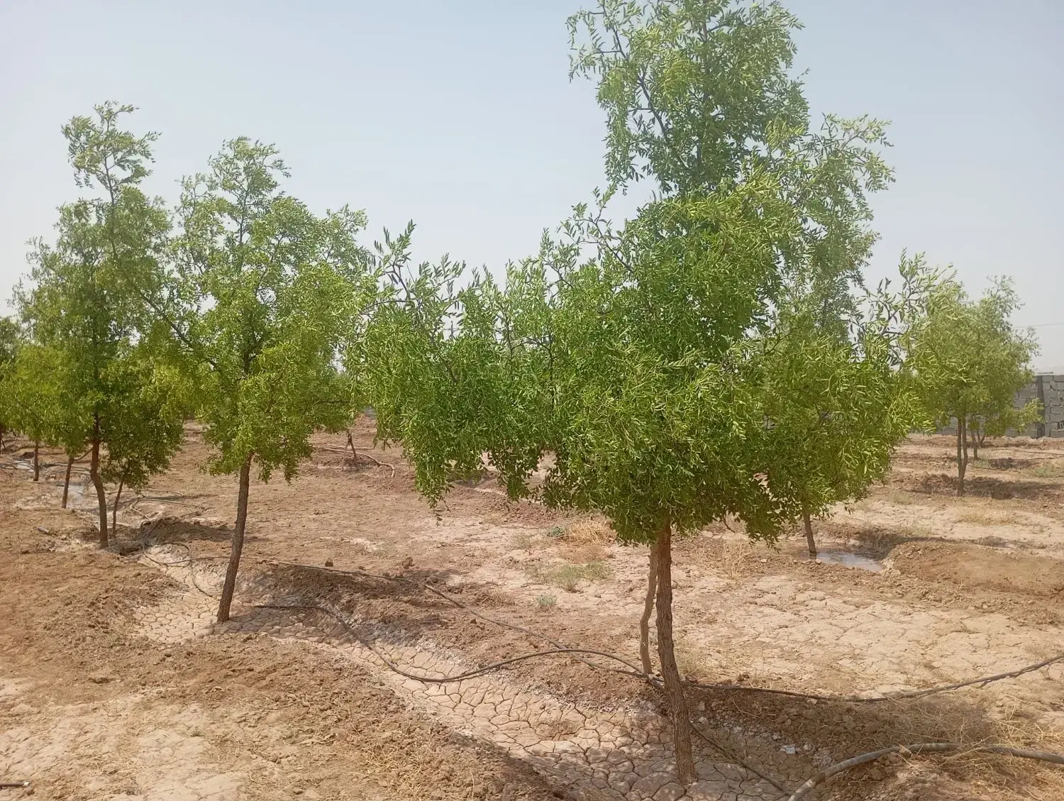 تصویر 7