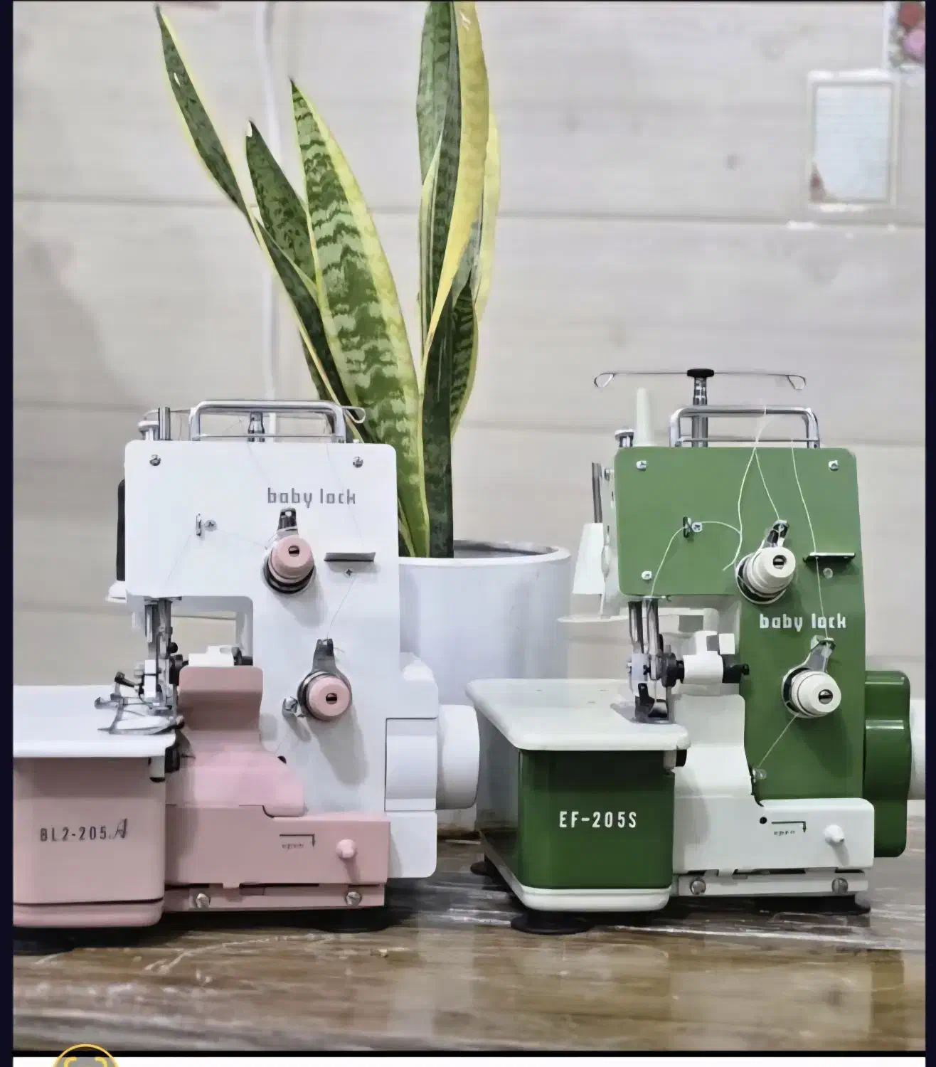 سردوز بابی لوک سبز|چرخ خیاطی و ریسندگی|بندر دیر, |دیوار