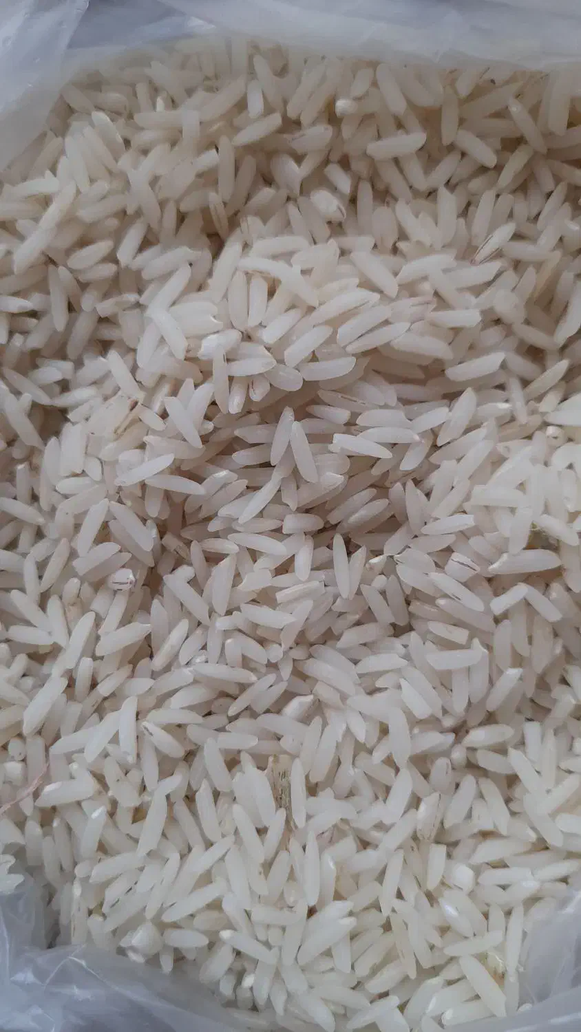 برنج درجه یک هاشمی و لاشه و نیم دانه هاشمی|خوردنی و آشامیدنی|رضوانشهر, |دیوار