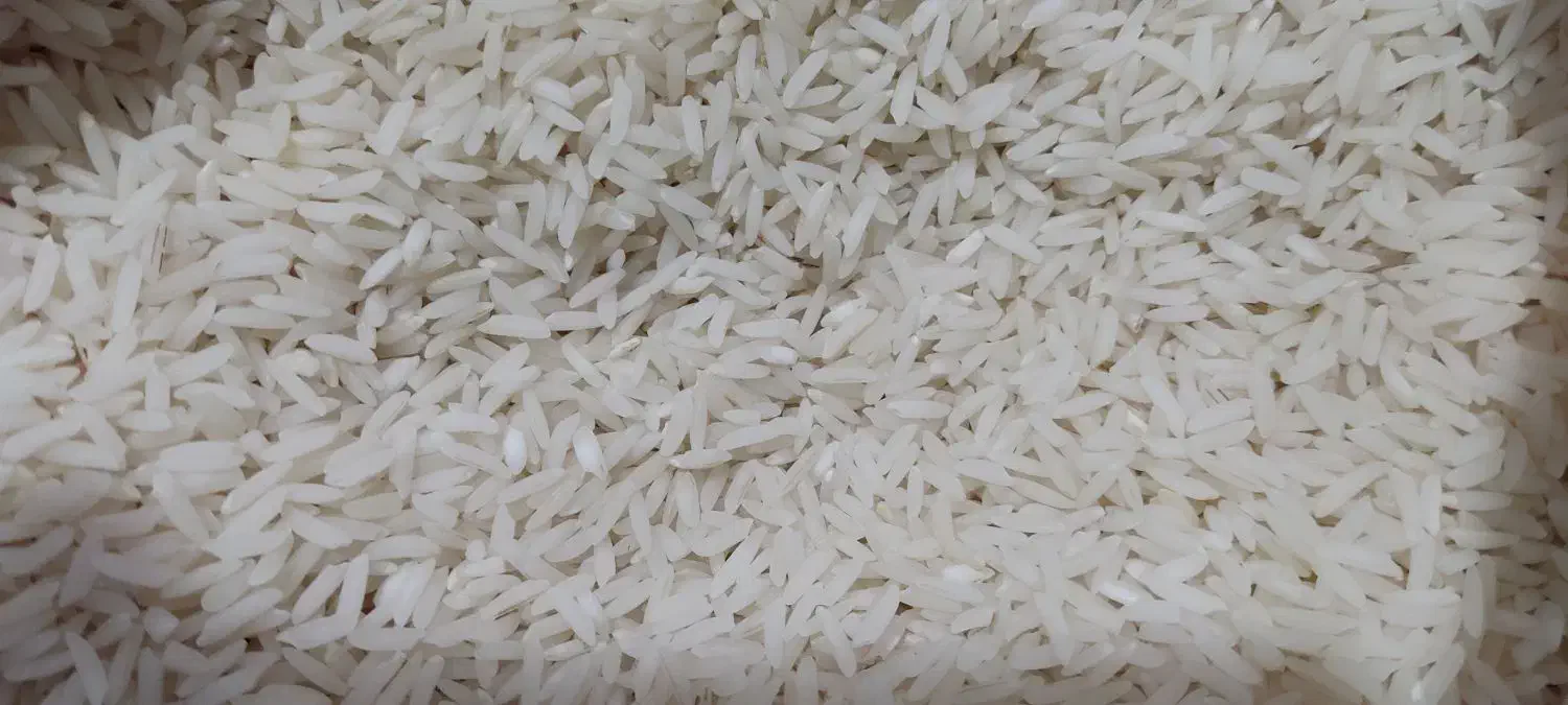 برنج طارم هاشمی قیمت مناسب|خوردنی و آشامیدنی|قم, یخچال قاضی|دیوار