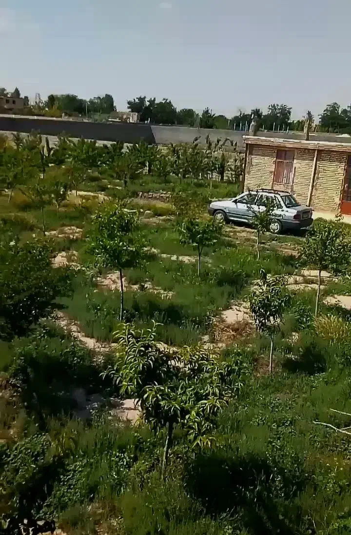 فروش باغ|فروش خانه و ویلا|مشهد, گنبدواز|دیوار