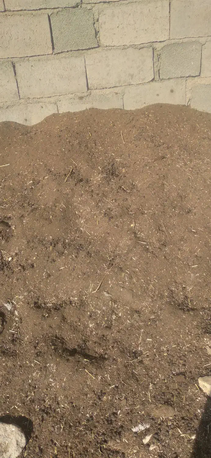 کود گوسفندی|خدمات باغبانی و درختکاری|هنزا, |دیوار