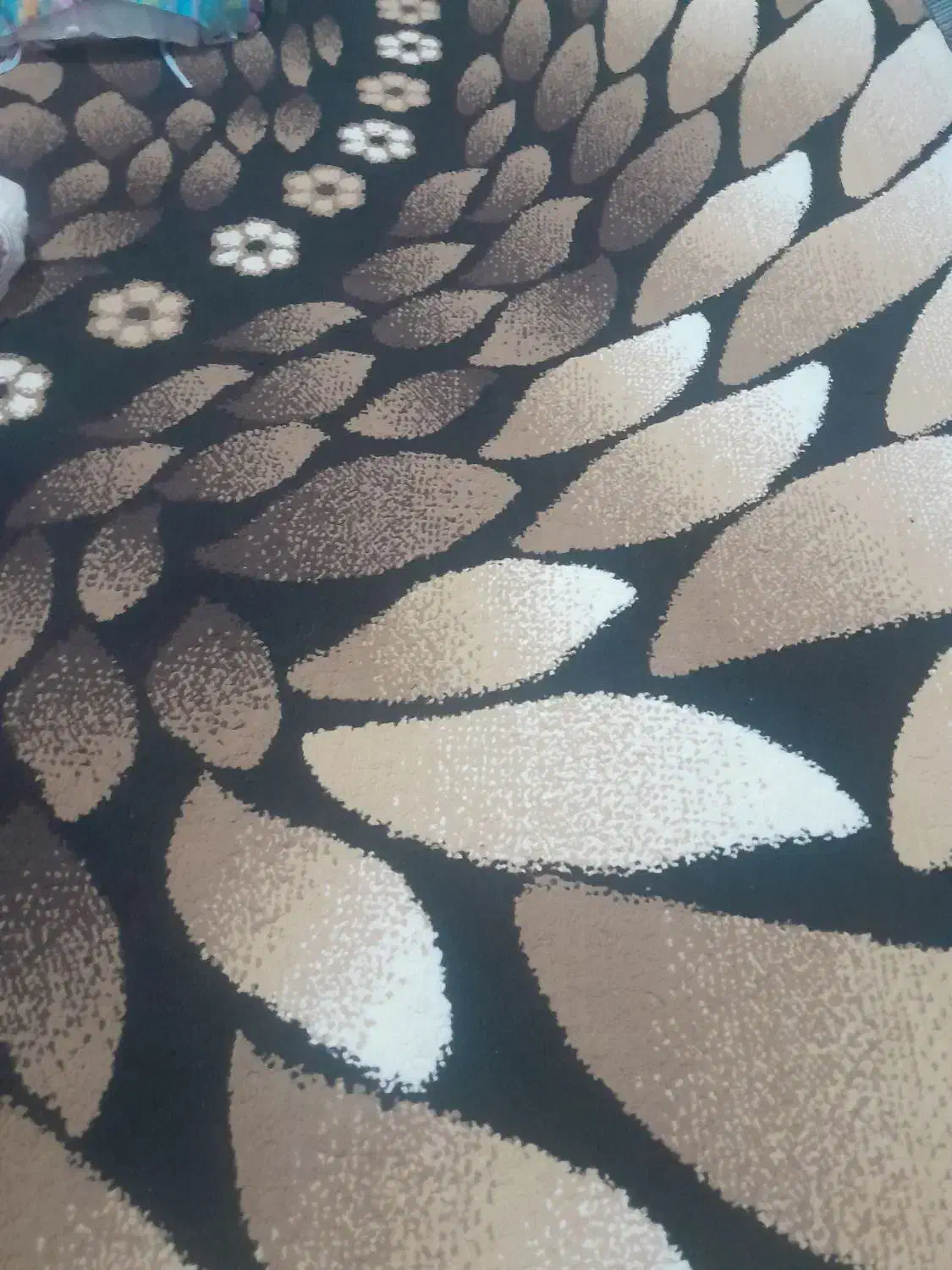 دوتا فرش|فرش|نوشین شهر, |دیوار