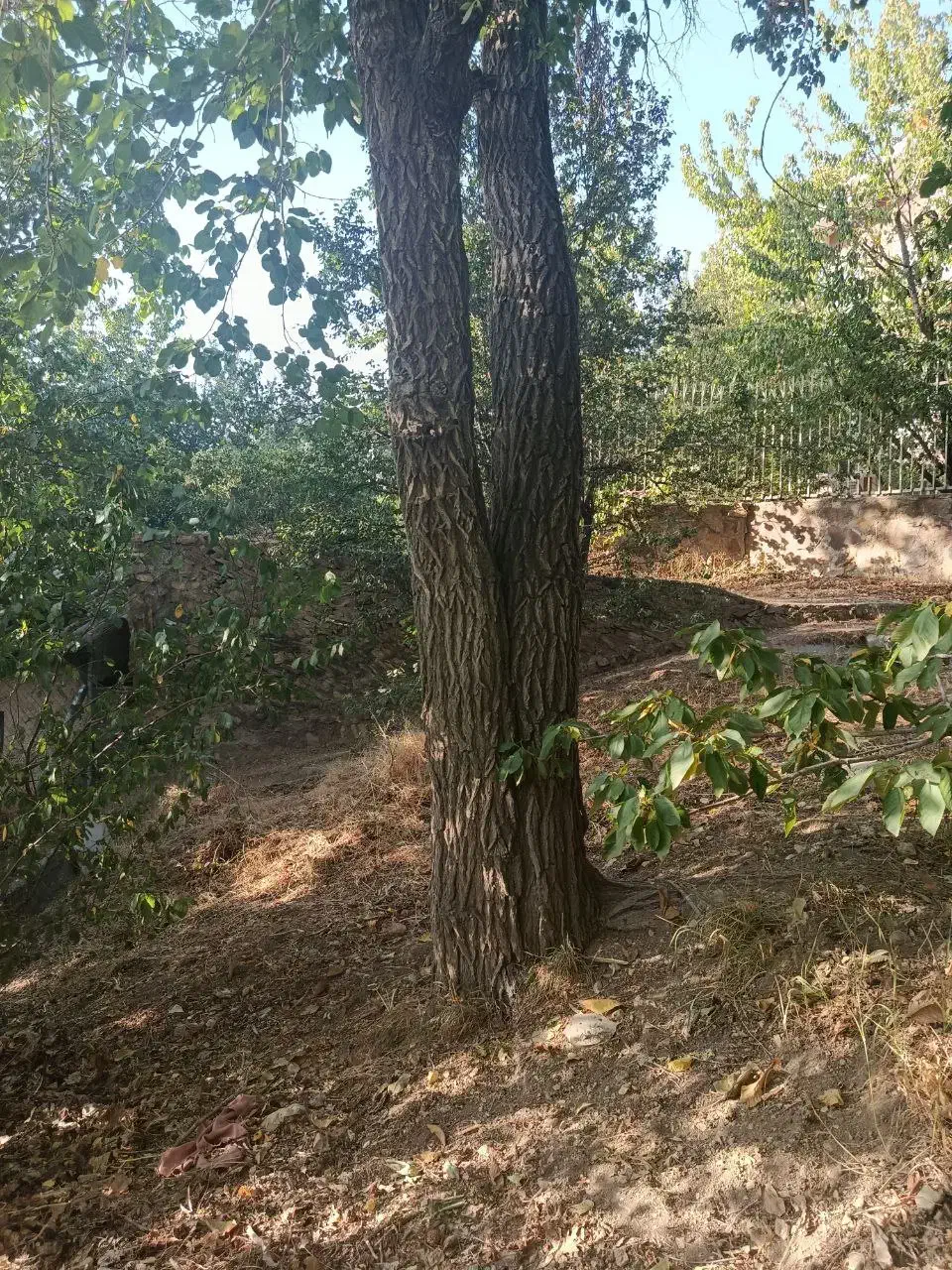 باغچه ۲۳۳ متری در منطقه خوش آب‌وهوای خورارنگه|فروش زمین و ملک کلنگی|آسارا, |دیوار