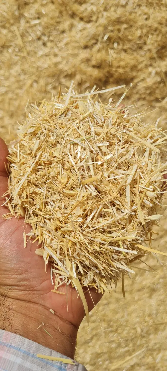 کاه|خدمات باغبانی و درختکاری|زرین دشت (فارس), |دیوار