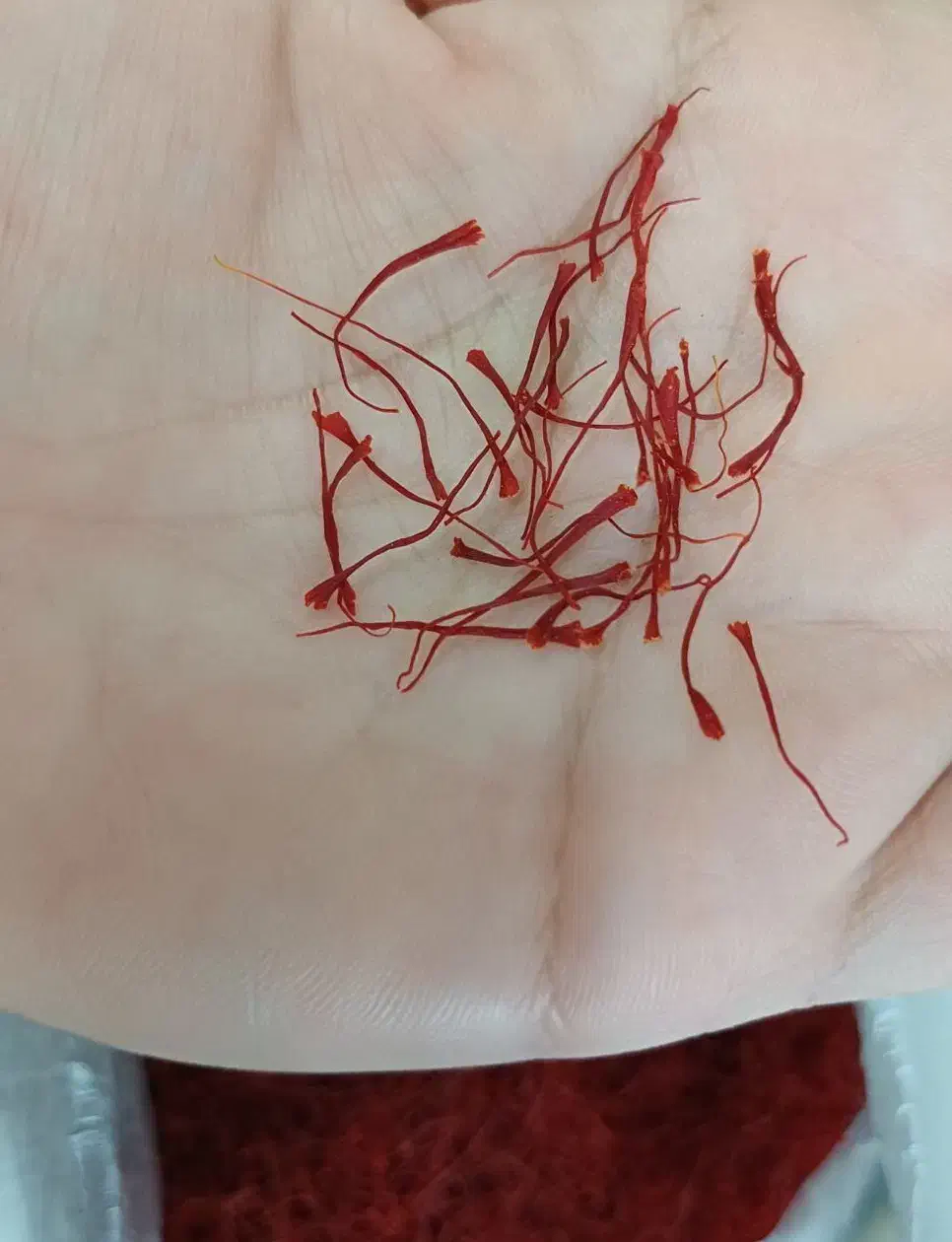 زعفران|خوردنی و آشامیدنی|مشهد, نوید|دیوار