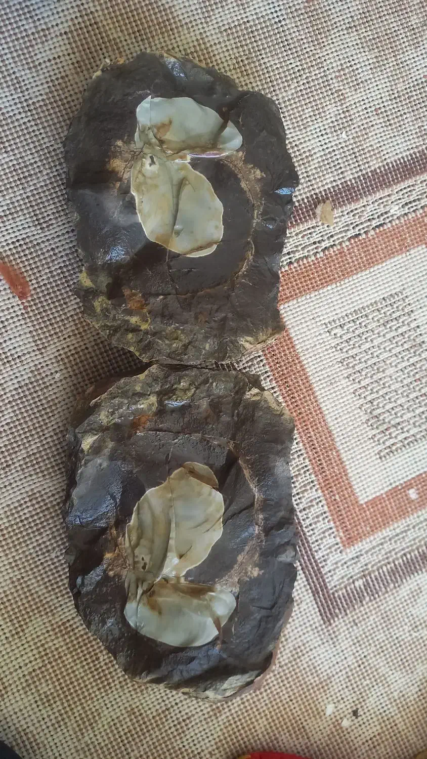 فصیل زیبا|کلکسیون اشیاء عتیقه|جوانرود, |دیوار