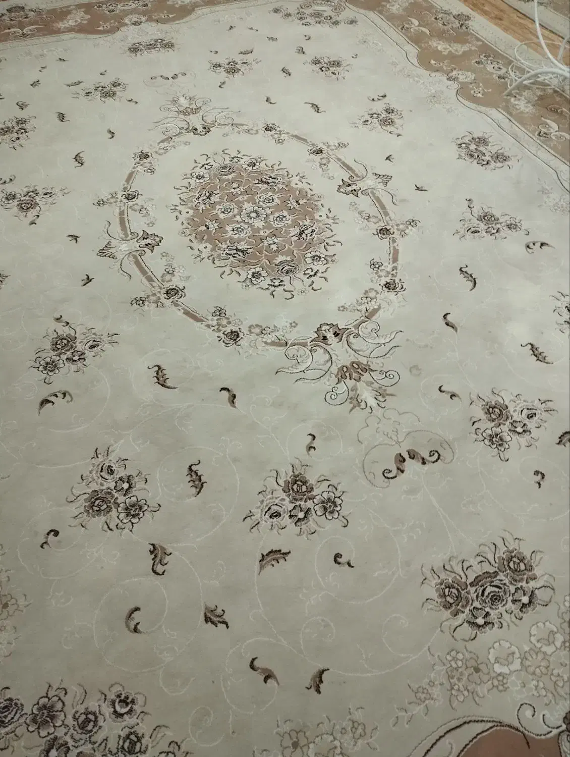 فرش ماشینی ۱۲متری|فرش|مرند, |دیوار