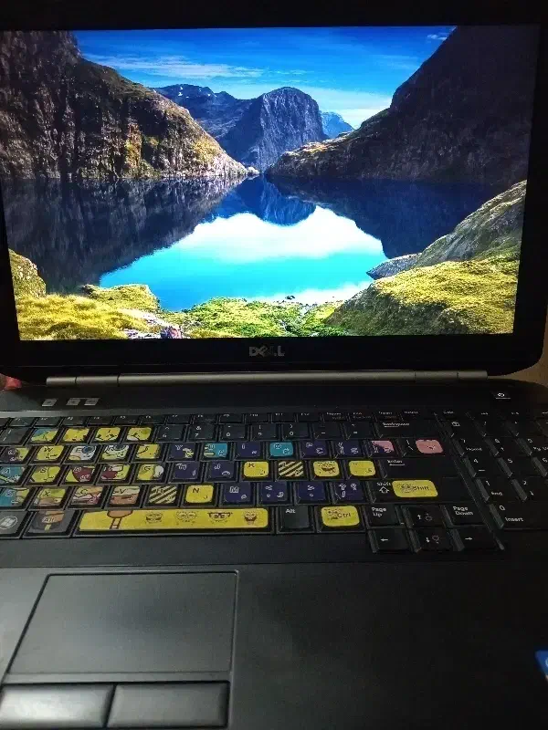 لپ تاپ Dell|رایانه همراه|مشهد, رده|دیوار