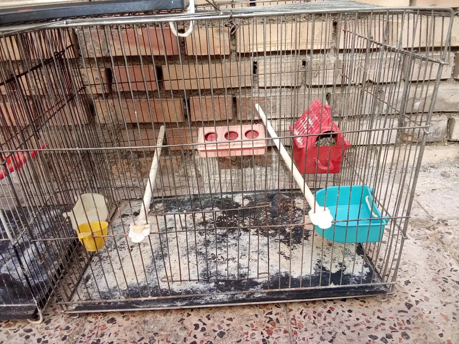 قفس پرنده|لوازم جانبی حیوانات|مشهد, تلگرد|دیوار