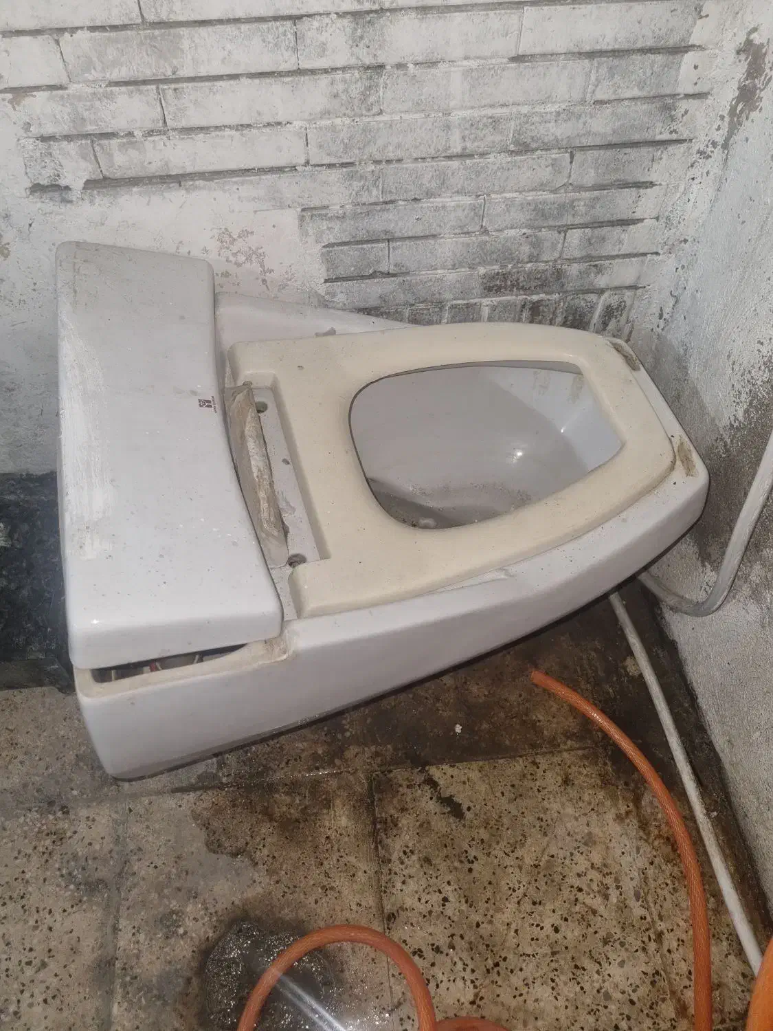 توالت فرنگی کارکرده|لوازم سرویس بهداشتی|مشهد, رسالت|دیوار