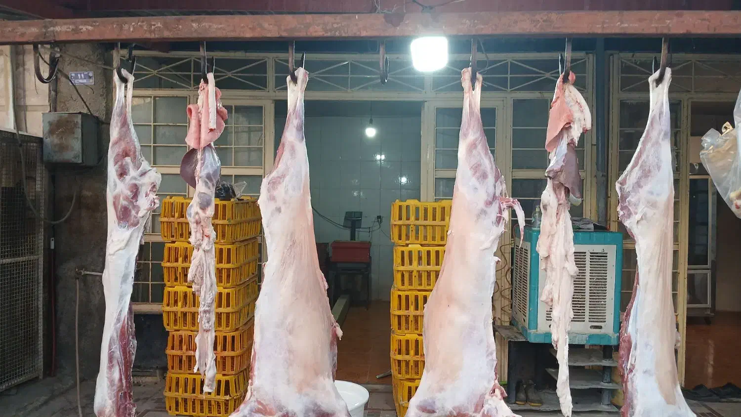 بره درجه یک|خوردنی و آشامیدنی|سیوان, |دیوار