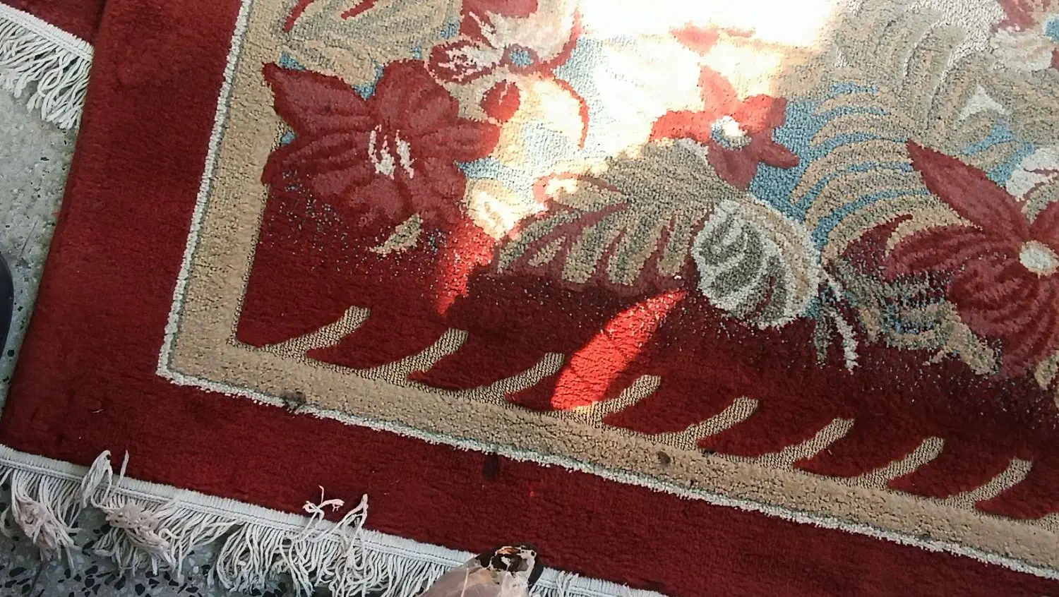 دو عدد گلیم|گلیم، جاجیم، گبه|دهلران, |دیوار