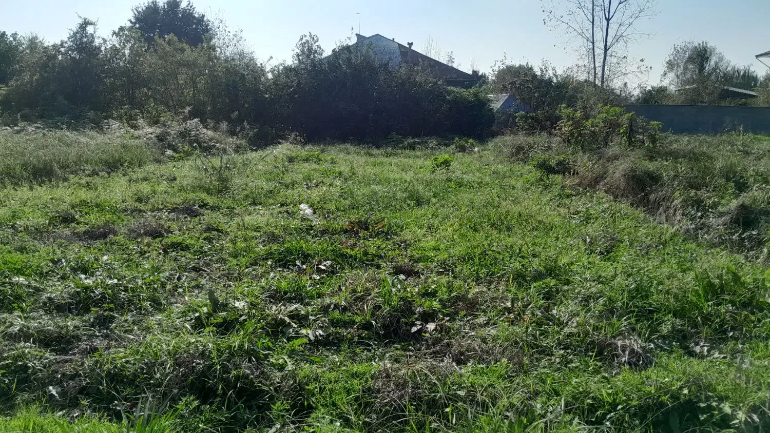 زمین ۳۰۰ متری در لادمخ|فروش زمین و ملک کلنگی|رشت, یخسازی|دیوار