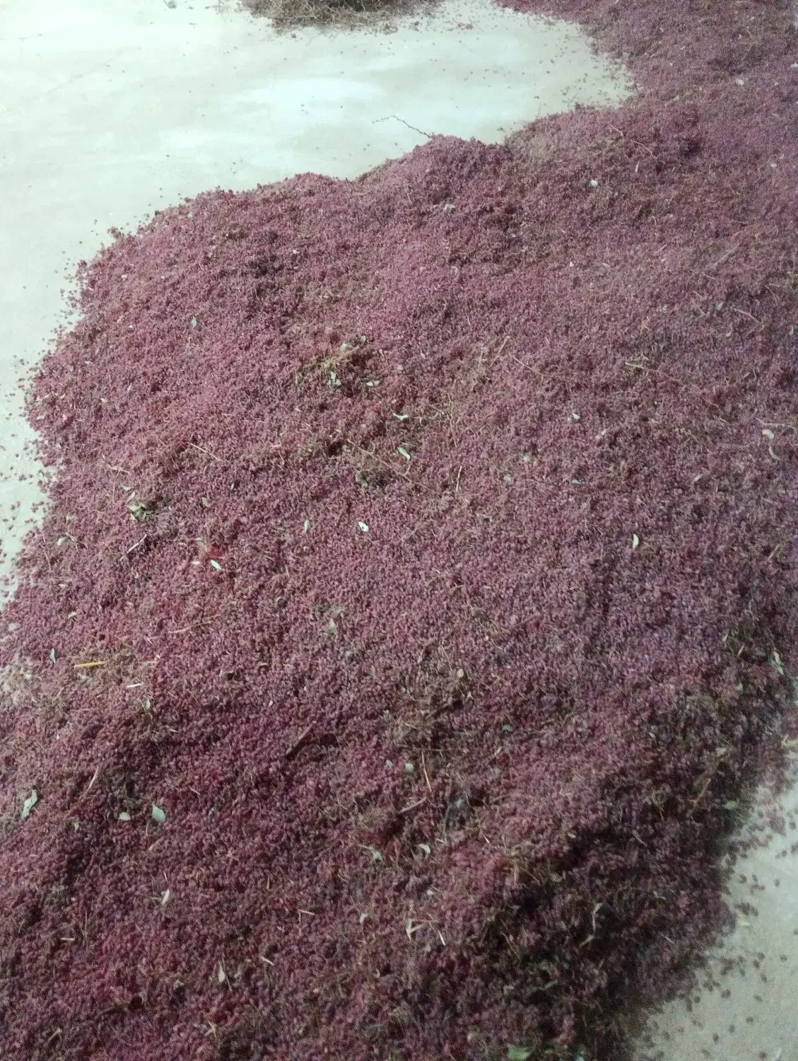 زرشک پفکی|عمده‌فروشی|قائن, |دیوار