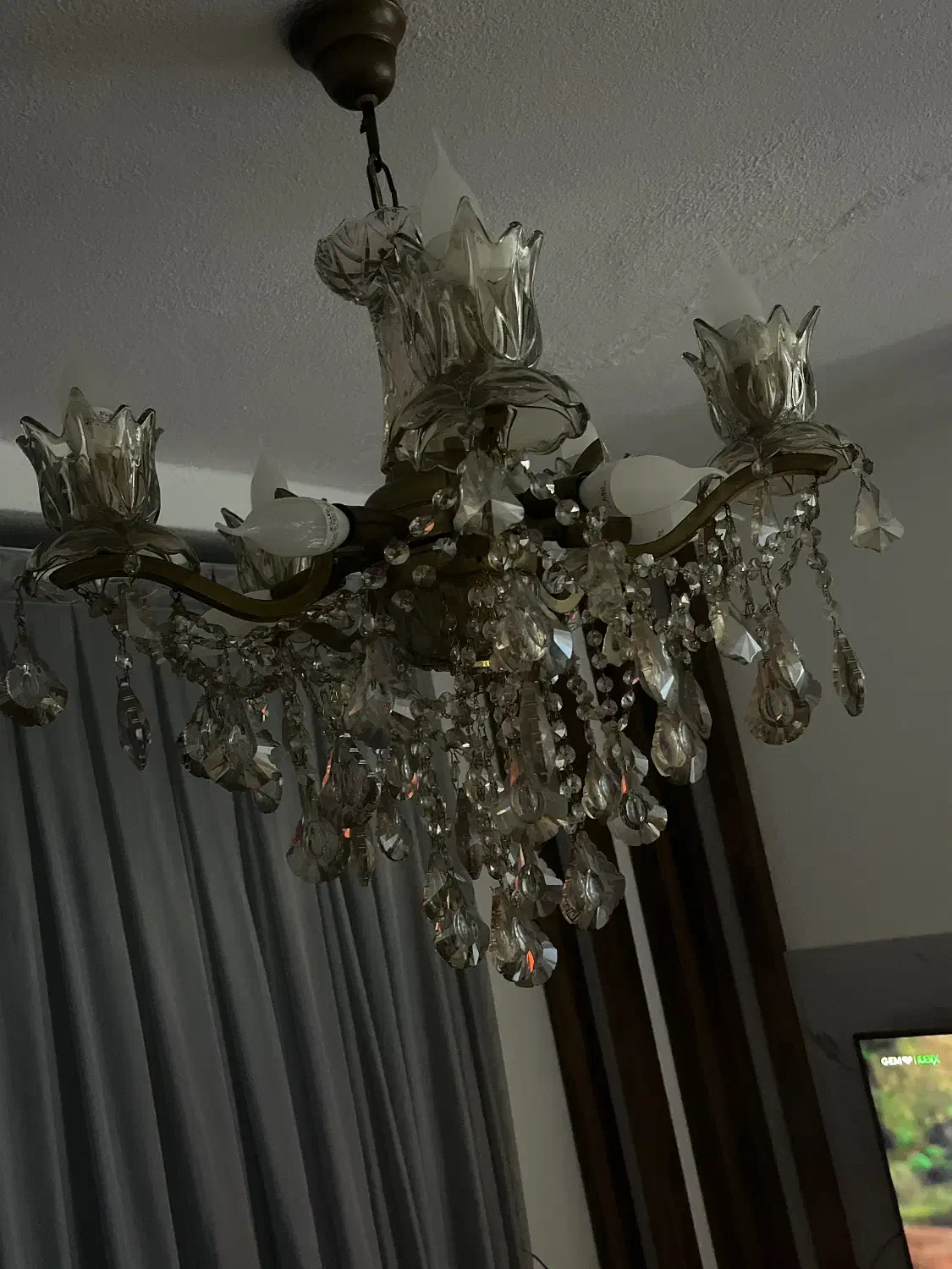 لوستر پذیرایی|لوستر و چراغ آویز|بندر انزلی, آذربایجان|دیوار