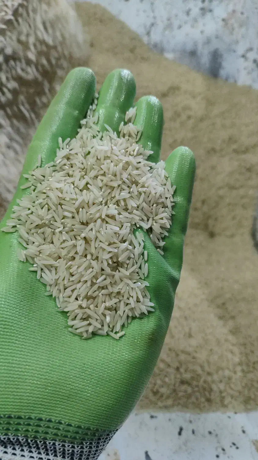 برنج طارم محلی|خوردنی و آشامیدنی|کوهدشت, |دیوار