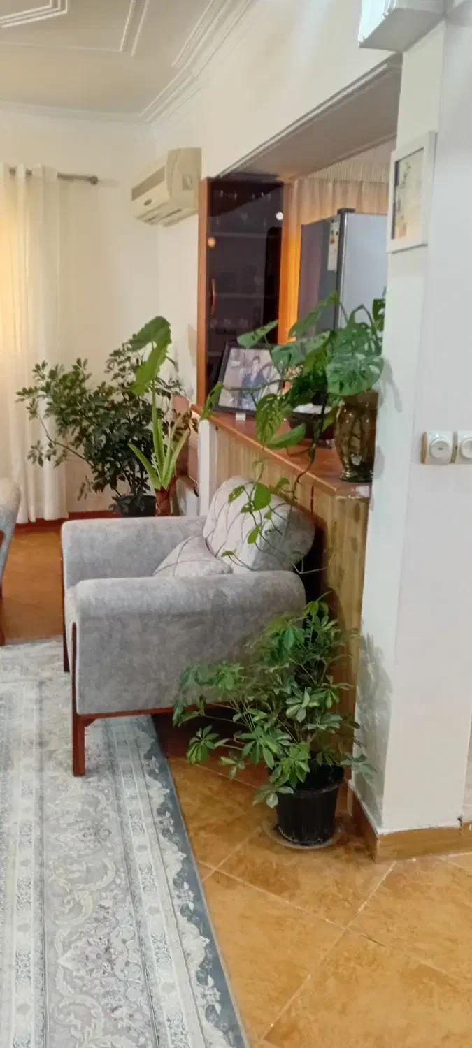 فروش خانه آپارتمانی جای خلوت و دنج|فروش آپارتمان|قائم‌شهر, |دیوار