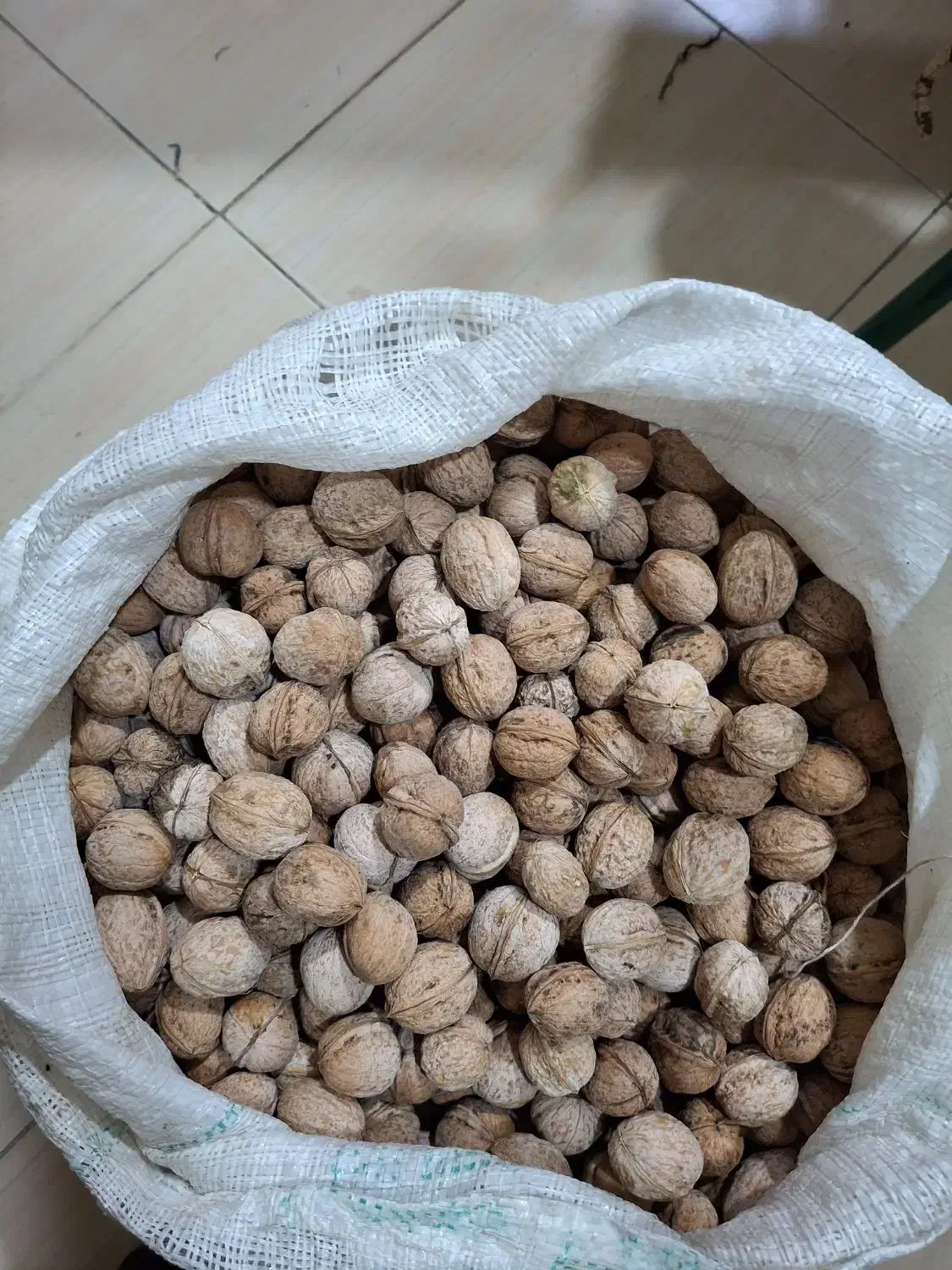 گردو|خوردنی و آشامیدنی|خرم‌آباد, |دیوار