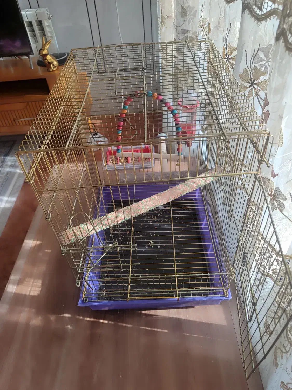 قفس|لوازم جانبی حیوانات|خمینی‌شهر, |دیوار