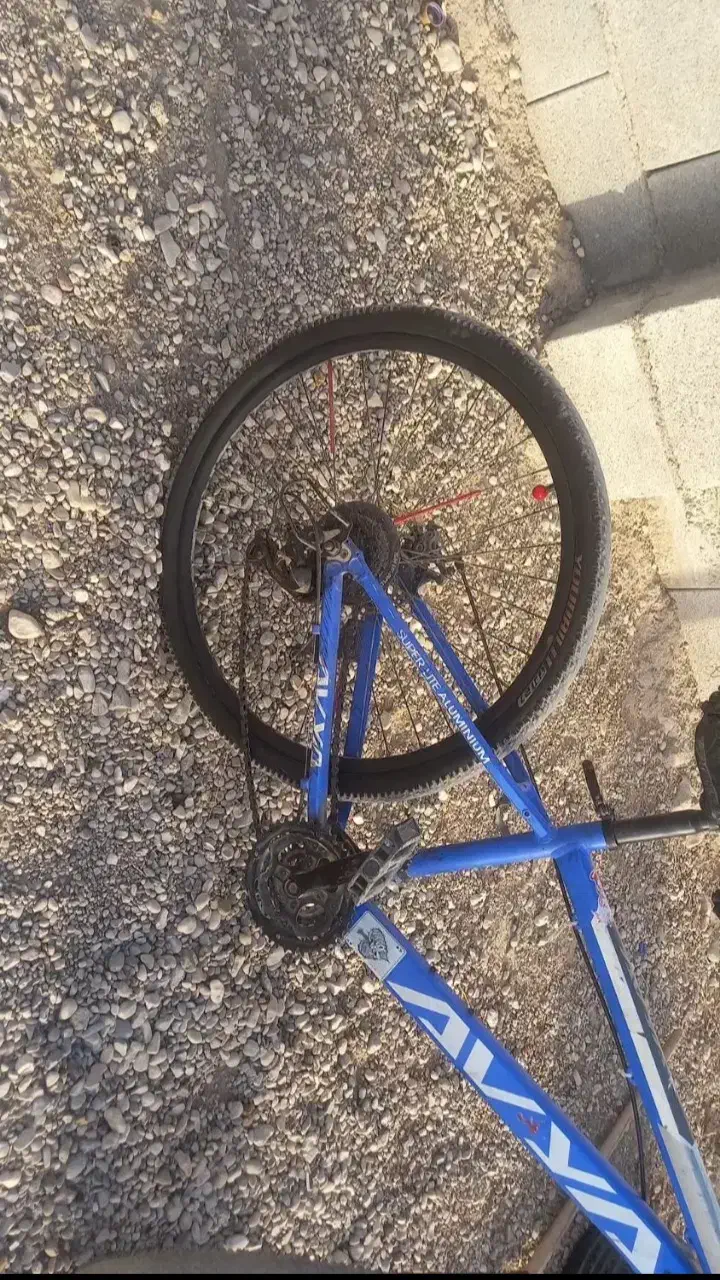 دورچه|دوچرخه، اسکیت، اسکوتر|حاجی آباد, |دیوار