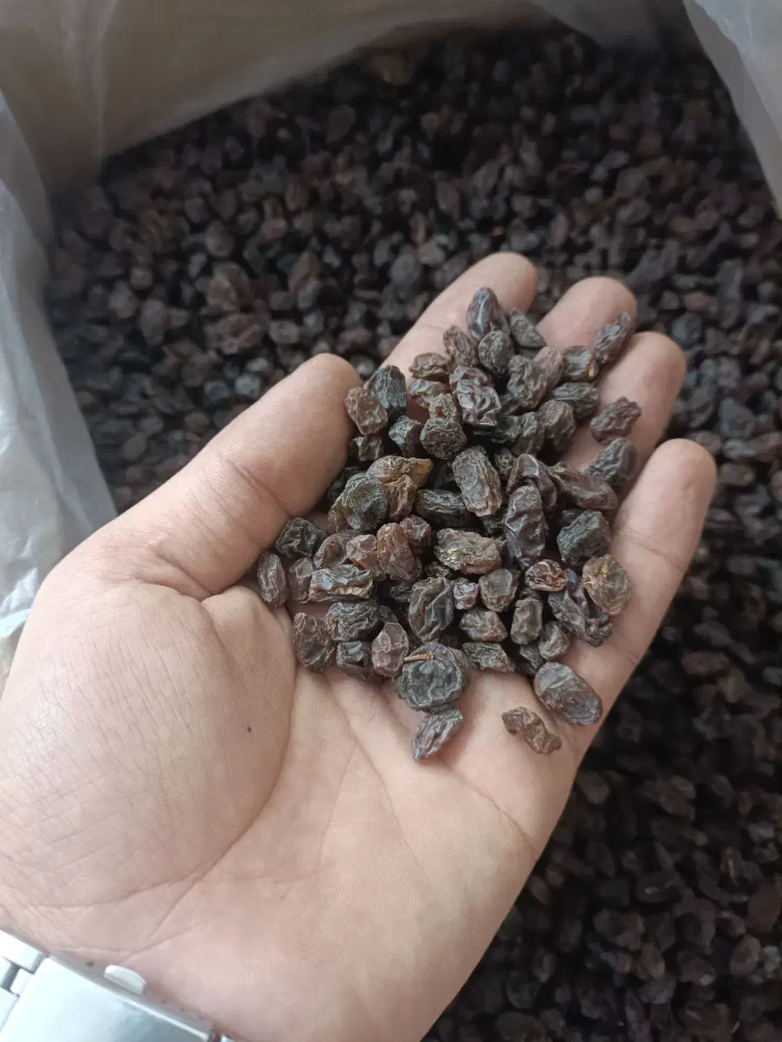 کشمش تاکستان آفتابی پلویی مویز ابگیری|خوردنی و آشامیدنی|خرمدشت, |دیوار