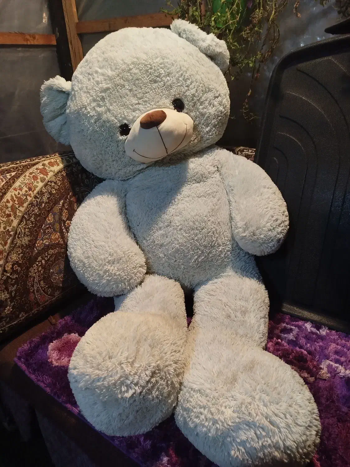 خرس بزرگ زیبا|اسباب‌‌بازی|بندر انزلی, معلم|دیوار