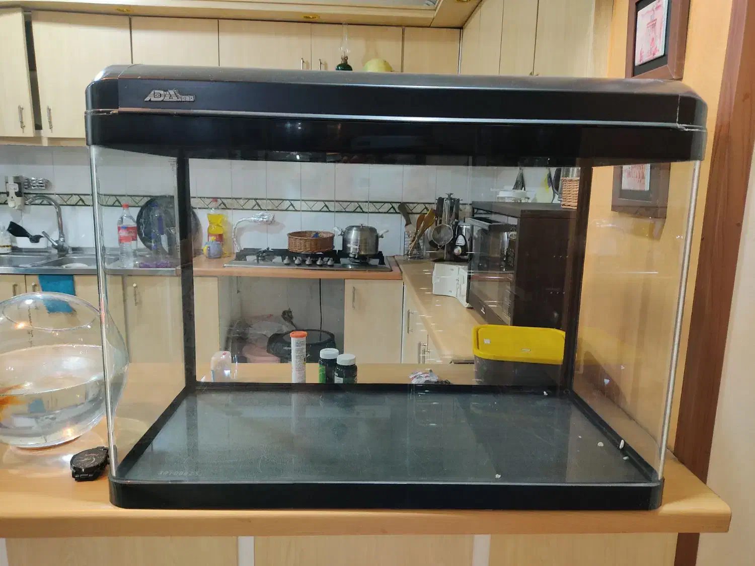 اکواریوم شرکتی|ماهی|اصفهان, کشاورزی|دیوار