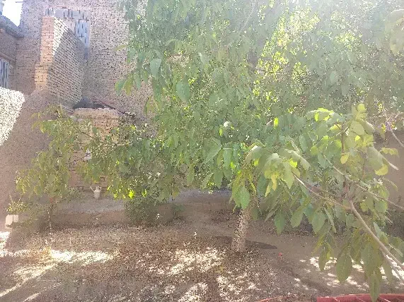 خانه ویلایی کلنگی تهاتر با آپارتمان|فروش خانه و ویلا|گلمکان, |دیوار