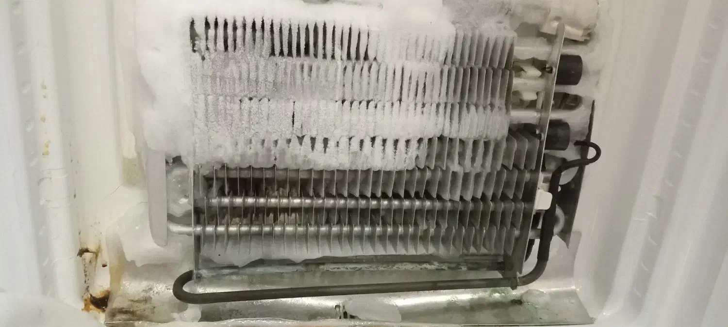 تعمیر تخصصی یخچال،فریزر و یخچال فریزر|خدمات پیشه و مهارت|شاهین‌شهر, فردوسی|دیوار