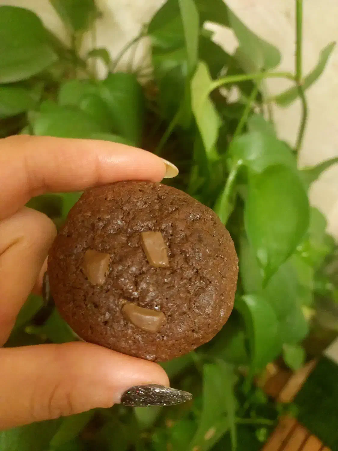 کوکی دبل چاکلت|خوردنی و آشامیدنی|مشکین‌دشت, |دیوار