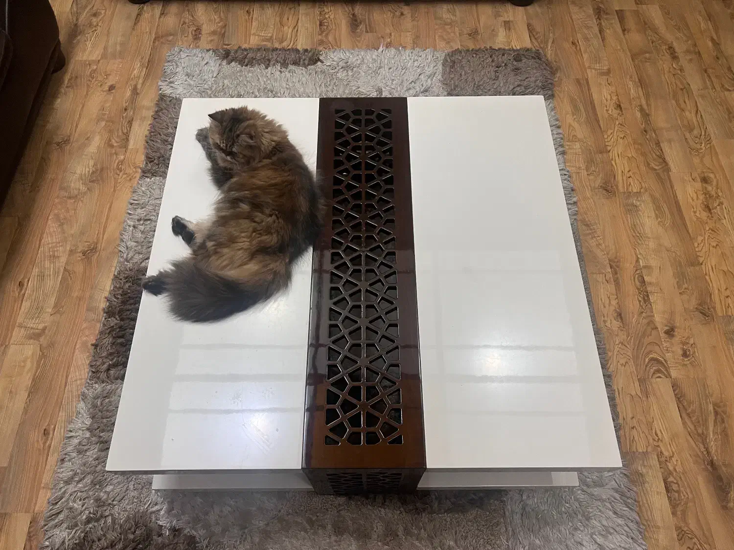 جلو مبلی|مبلمان خانگی و میز عسلی|رشت, کاکتوس|دیوار