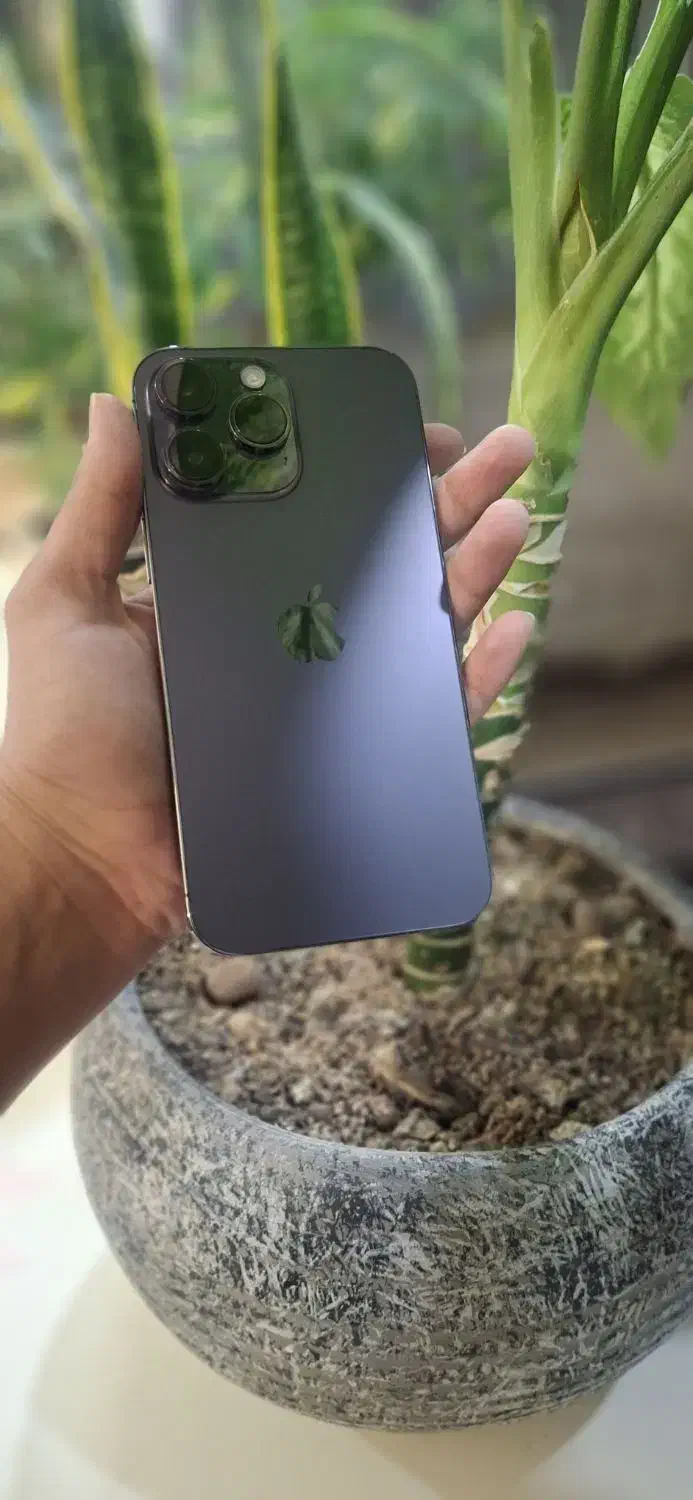 گوشی آیفون ۱۴ پرومکس zaa اصلی|موبایل|مشهد, دانشجو|دیوار