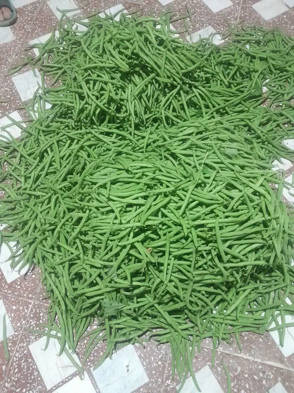 لوبیا سبز|خوردنی و آشامیدنی|ارطه, |دیوار