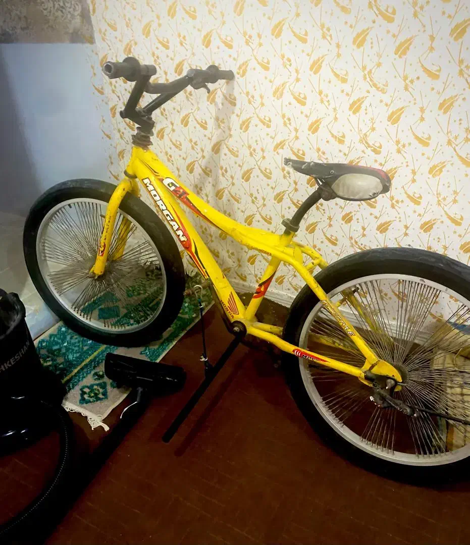 دوچرخه 24|دوچرخه، اسکیت، اسکوتر|بوشهر, |دیوار