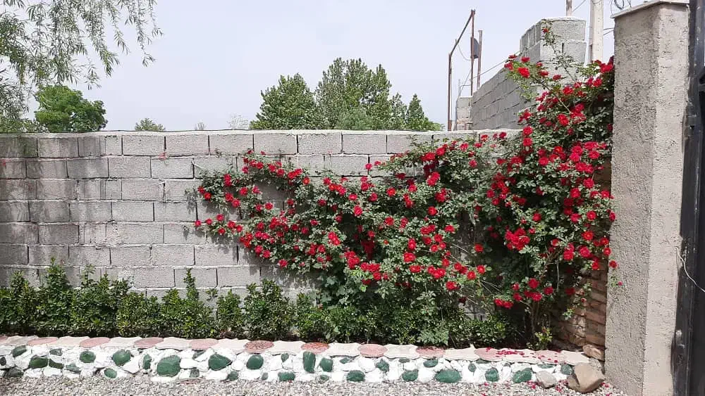 فروش باغ ویلا|فروش خانه و ویلا|بشاریات, |دیوار