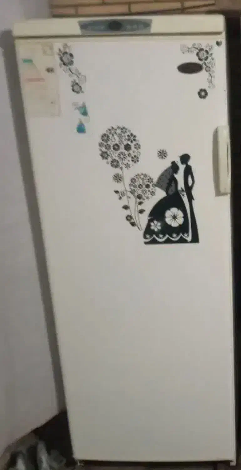 فریزر ارچ|یخچال و فریزر|طبس, |دیوار