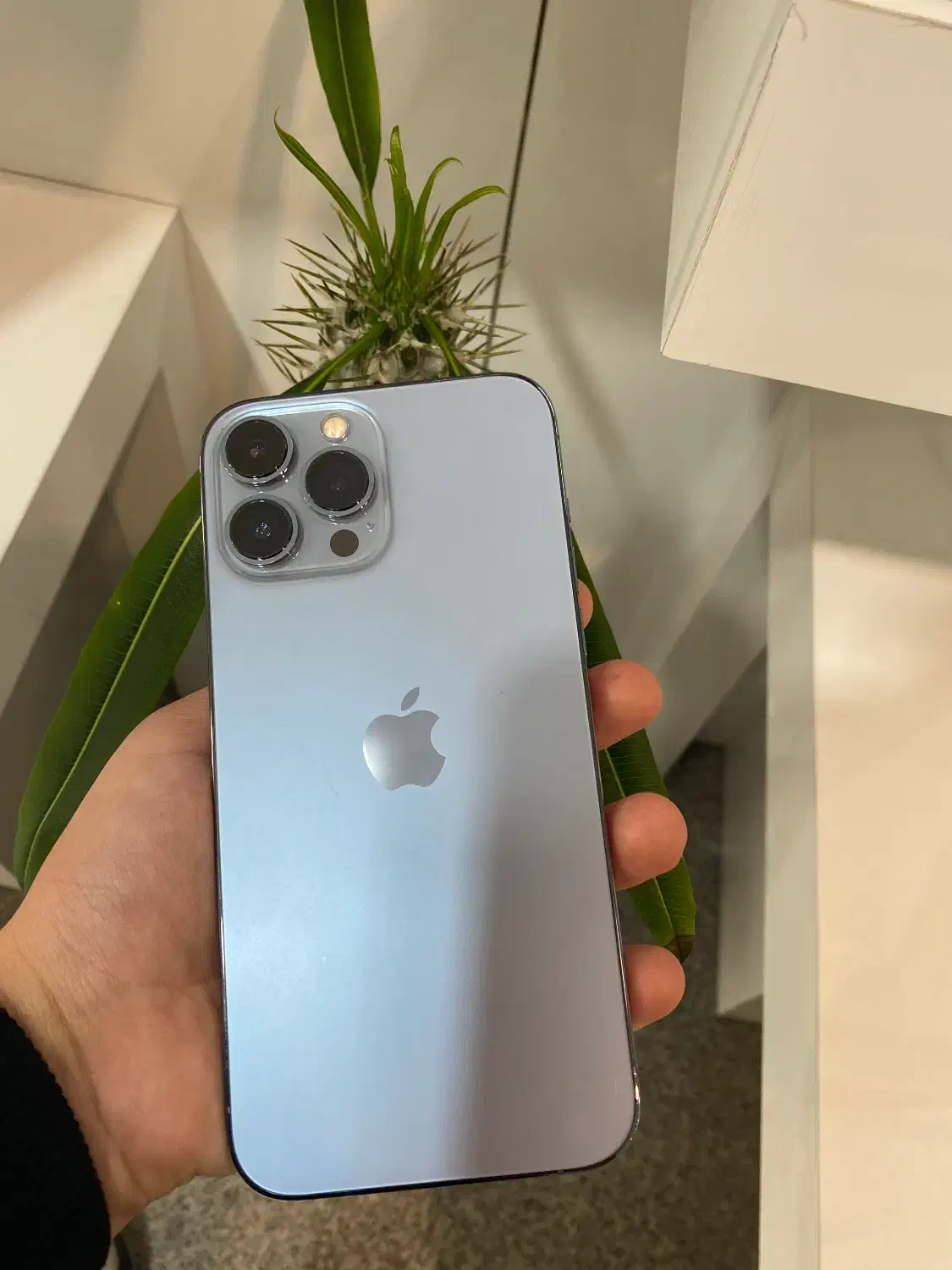 IPHONE 13promax|موبایل|اردبیل, |دیوار