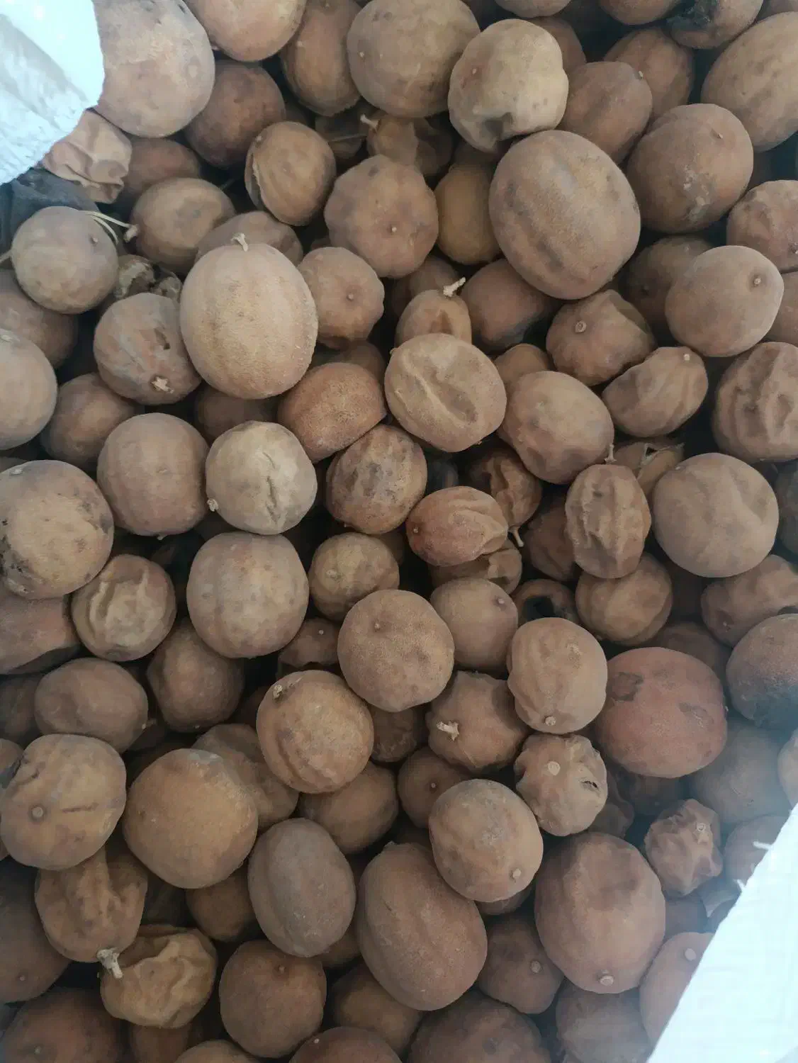 لیمو خشک|خوردنی و آشامیدنی|جغین, |دیوار