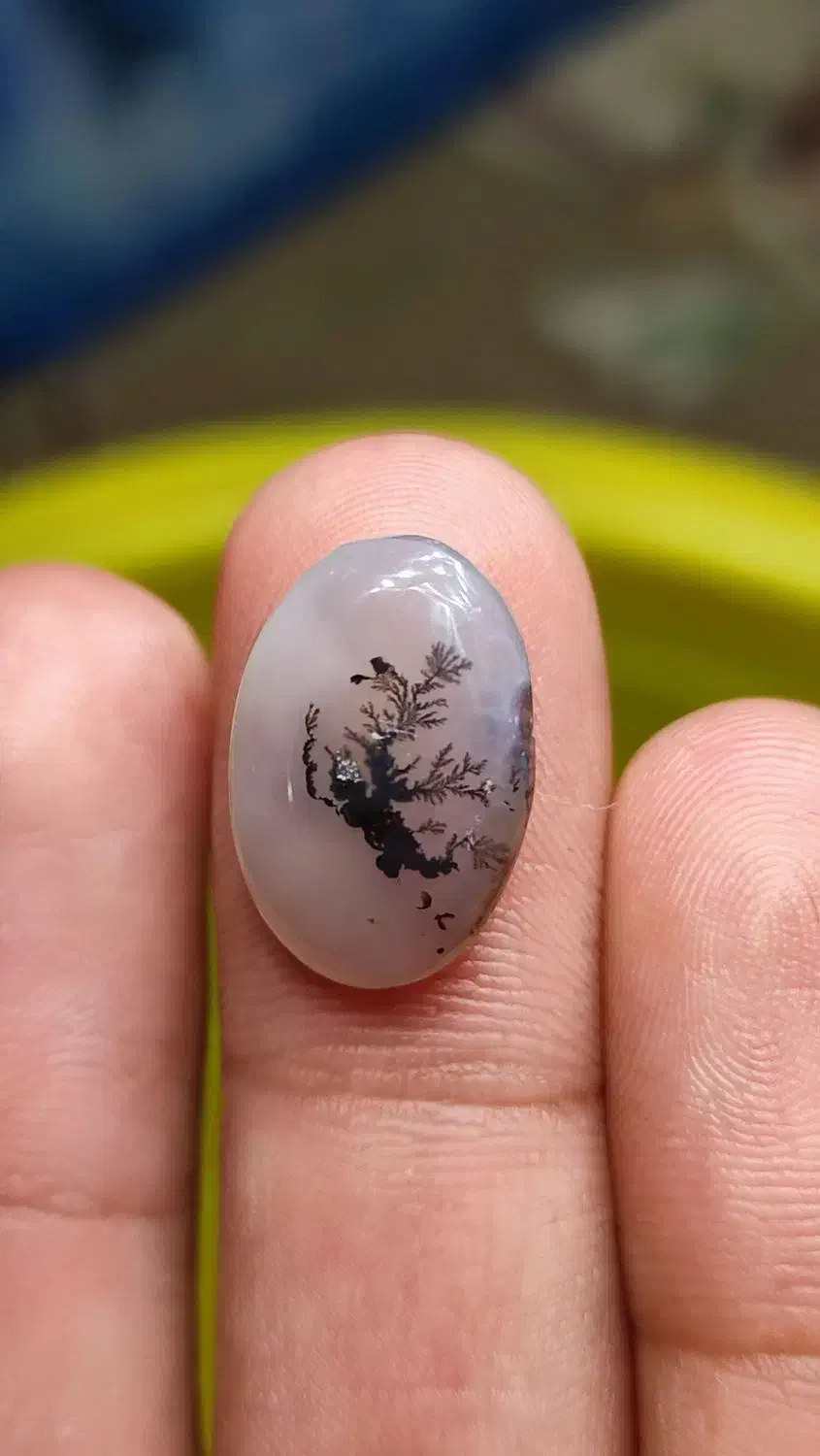 نگین شجر مشکی|جواهرات|فردوس (خراسان), |دیوار