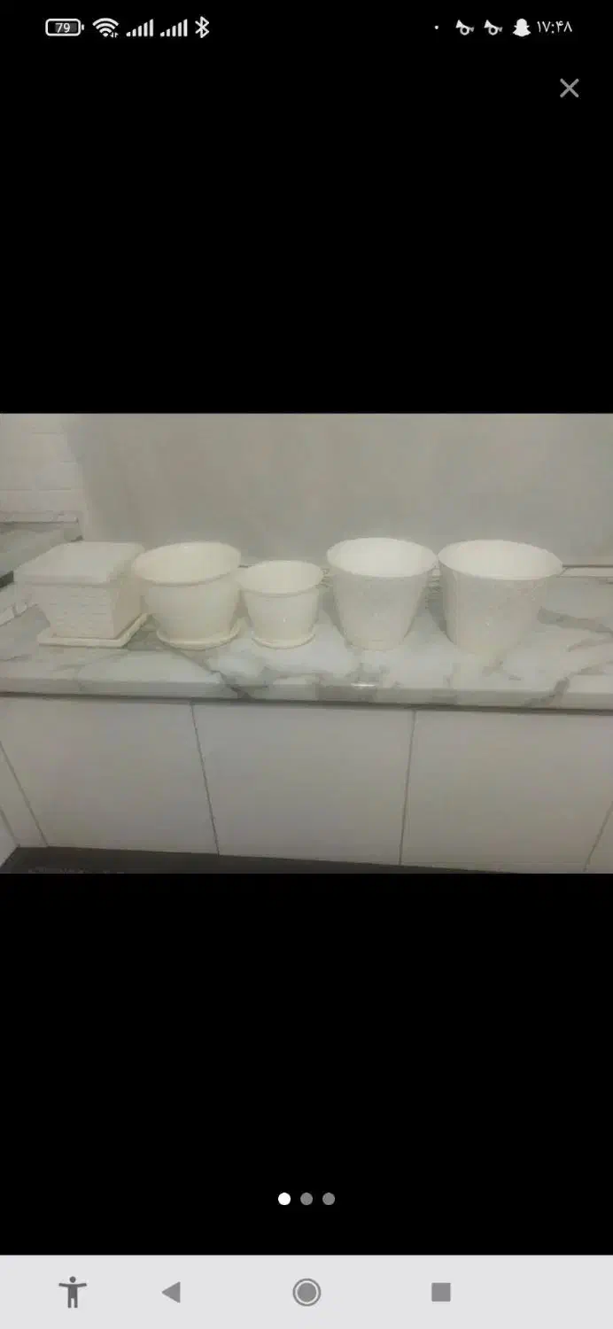 گلدان پلاستیکی|گل و گیاه طبیعی|بهارستان, |دیوار