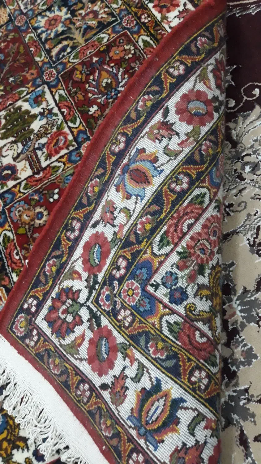 فروش فرش دستباف|فرش|شهرکرد, |دیوار