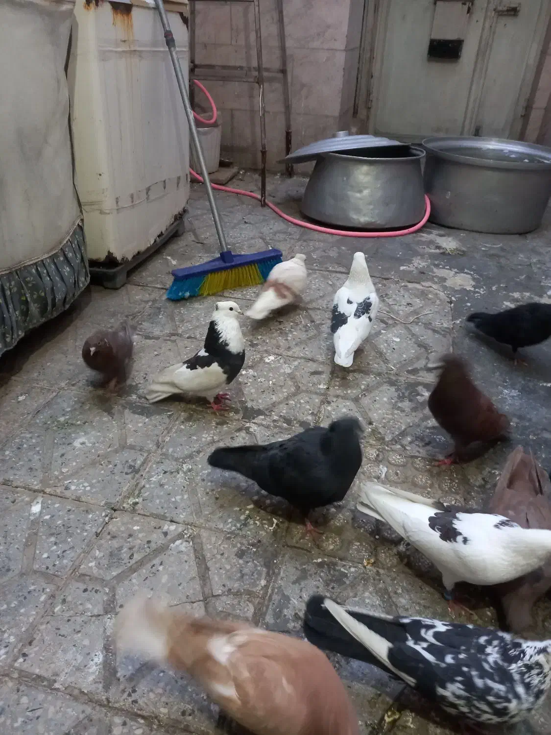 یکتی|حراج|بروجرد, |دیوار