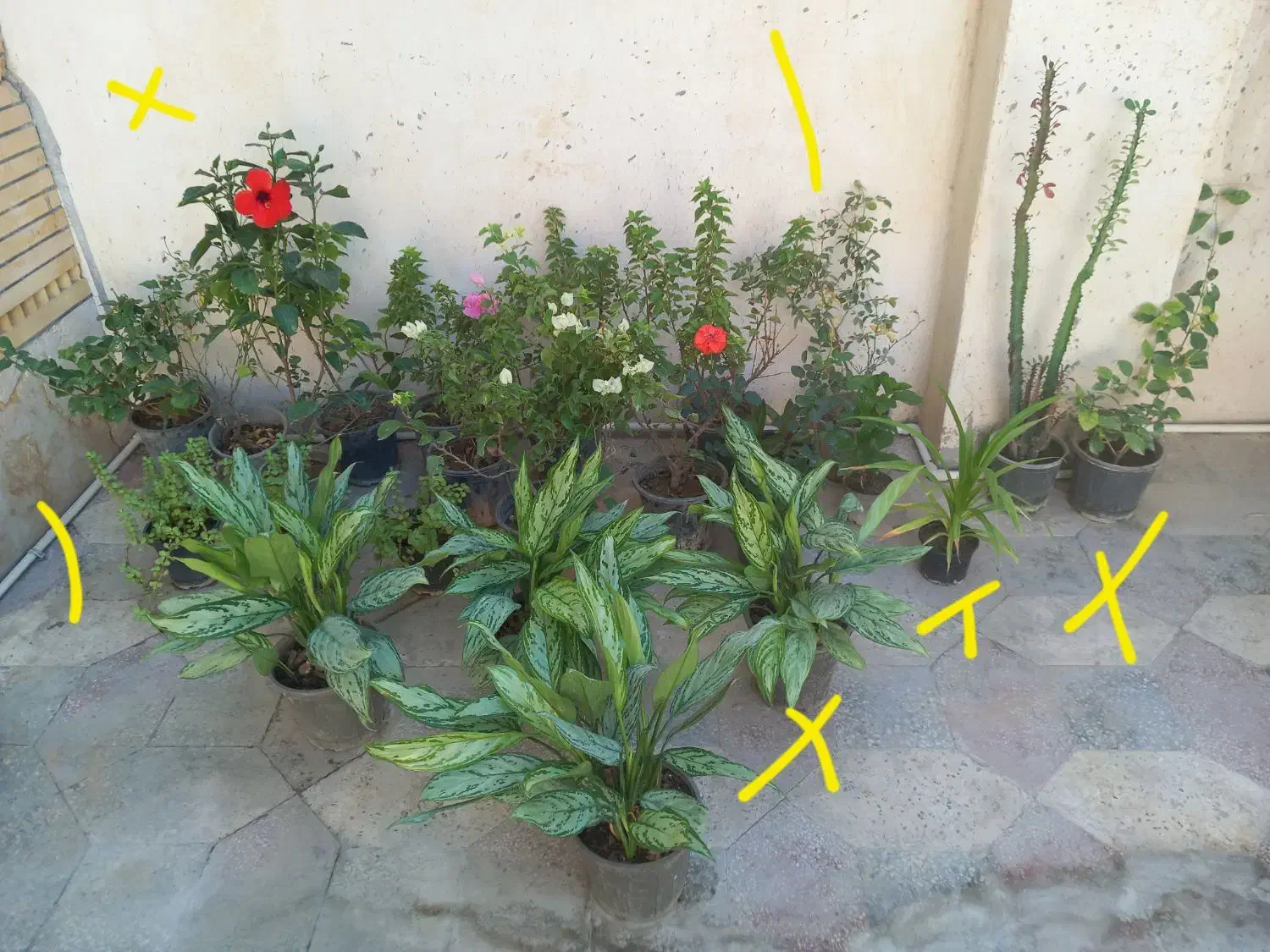 سیم کارت سبز|سیمکارت|بندر دیر, |دیوار