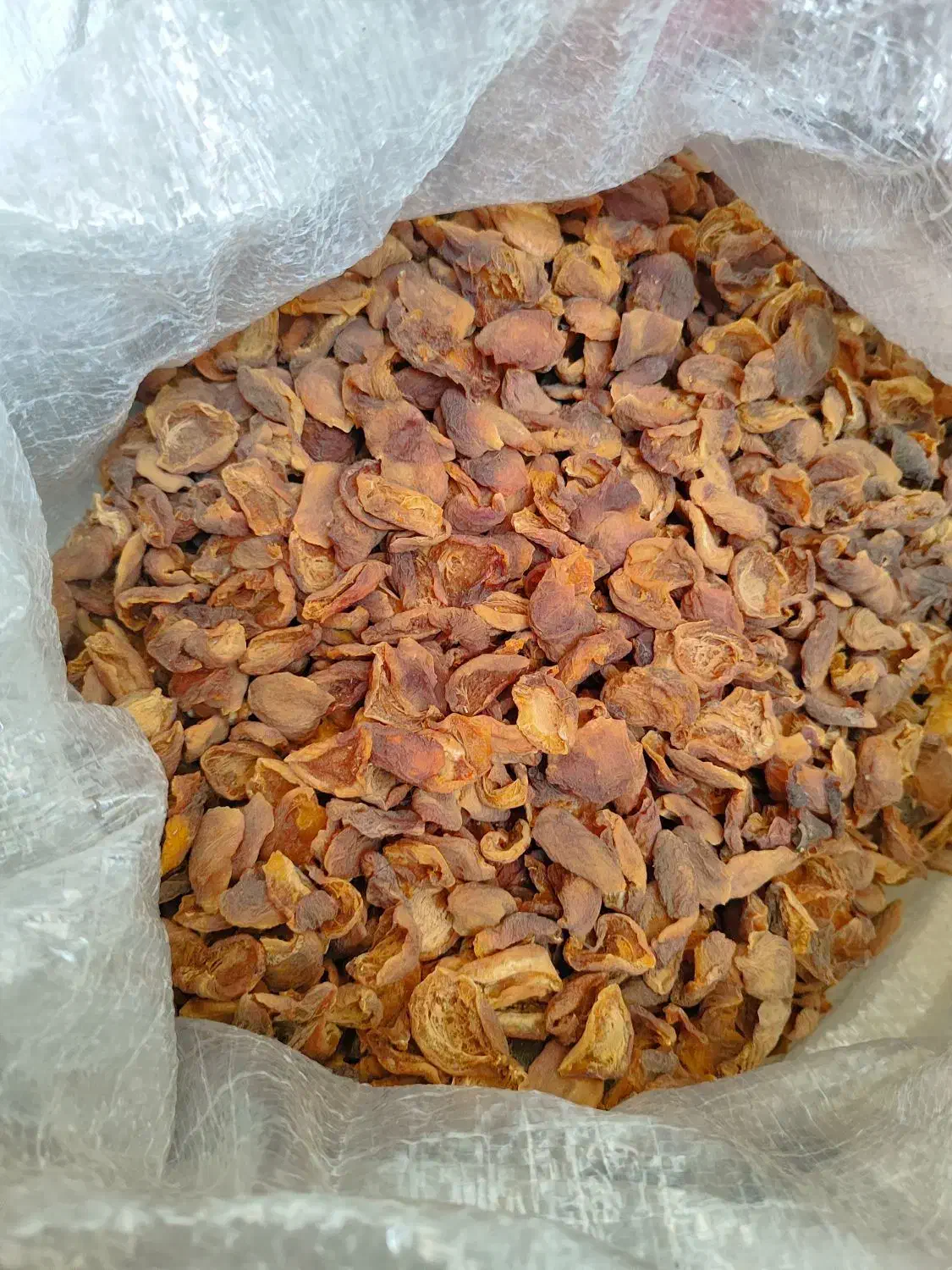 زردالو ی آفتابی|خوردنی و آشامیدنی|اندیشه, شهرک مریم|دیوار