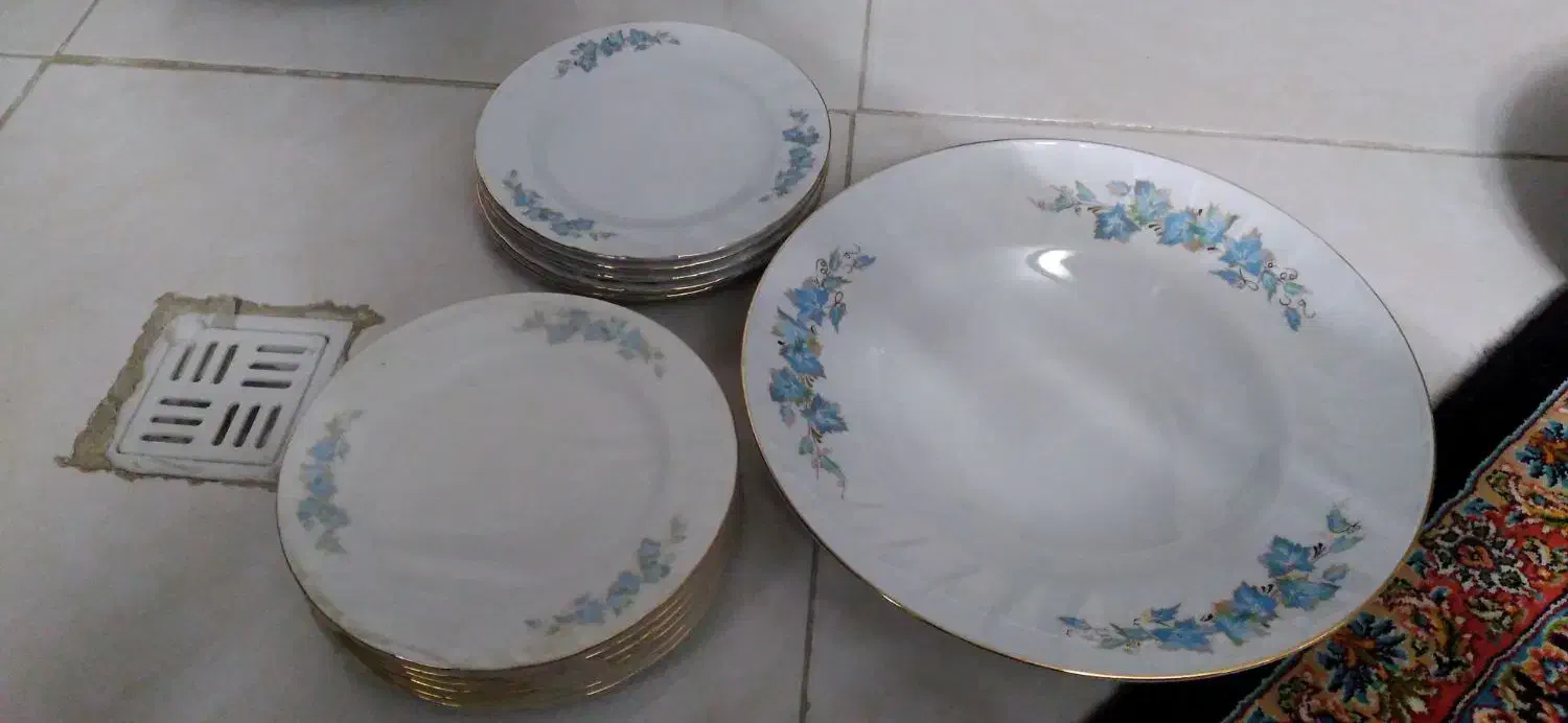 پلوزرین|ظروف سرو و پذیرایی|اراک, |دیوار