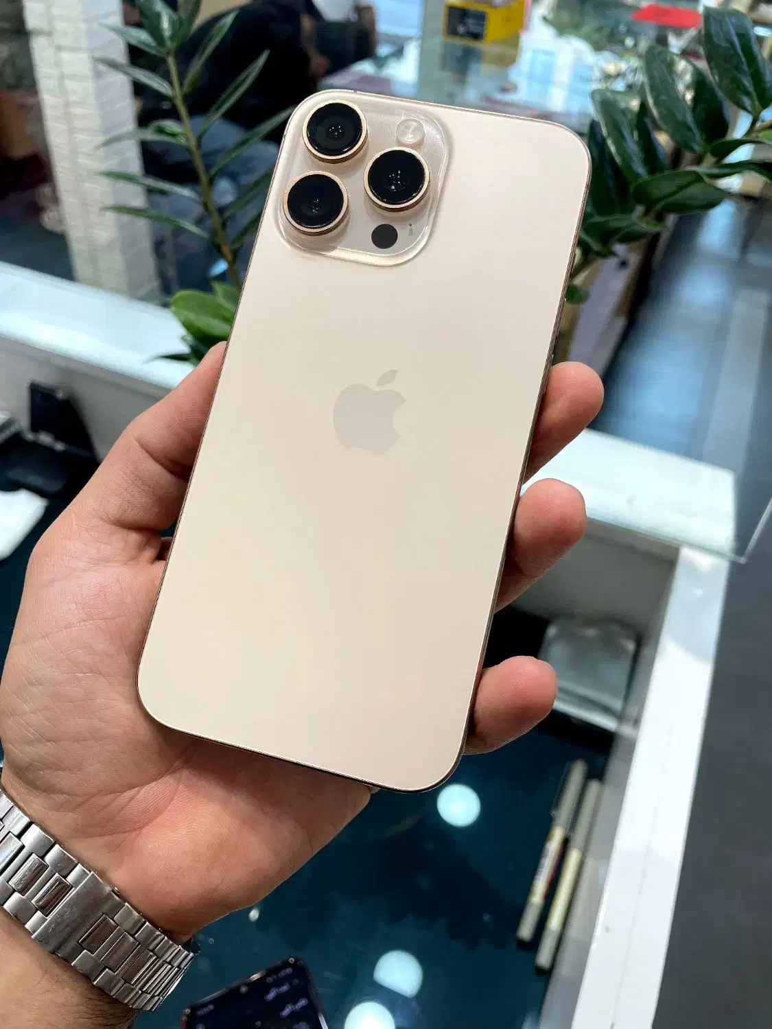 16promax Zaa 256|موبایل|کرج, مهرویلا جنوبی|دیوار