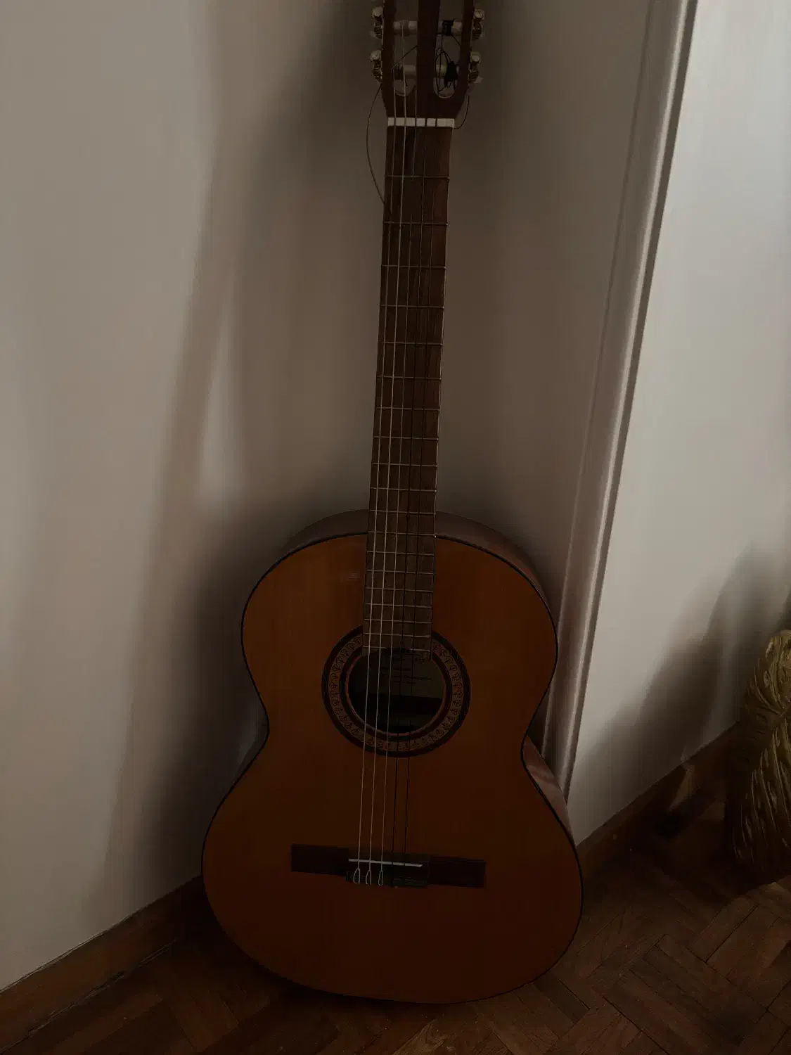 گیتار|گیتار، بیس، امپلیفایر|تهران, میرداماد|دیوار